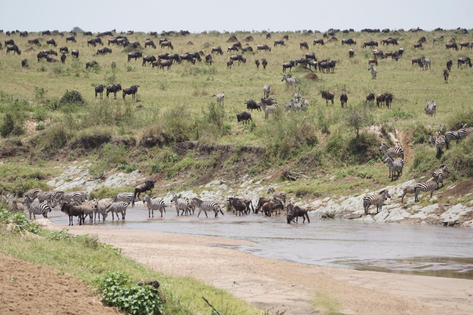 Kenya