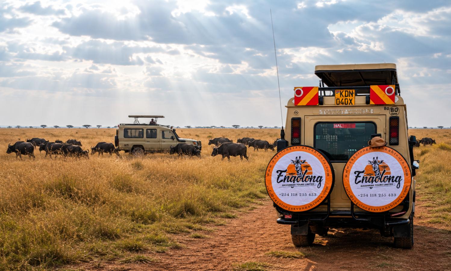 The Big Five in Kenya: Where, When & How to Find Them