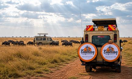 The Big Five in Kenya: Where, When & How to Find Them
