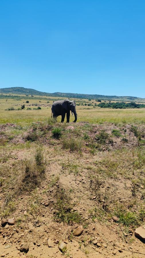 Best Time to Visit Kenya for a Safari: A Month-by-Month Guide