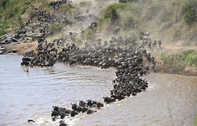The Big Five in Kenya: Where to See Africa's Most Iconic Wildlife