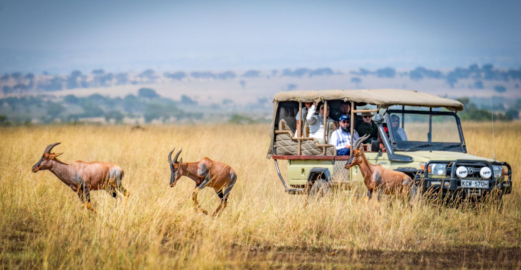 Best Safari Lodges and Camps in Kenya: Where to Stay for an Unforgettable Adventure